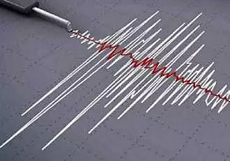 Cutremur in Romania, in aceasta dimineata. Seismul s-a inregistrat in zona Vrancea