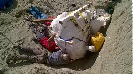 Descoperire incredibila in refugiul dinozaurilor din Montana: are 12 metri lungime si 6 inaltime