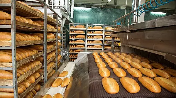 dezastru-la-o-fabrica-de-paine-din-bucuresti-descoperit-de-inspectorii-anpc-productia-de-vineri-retrasa-de-la-comercializare.webp