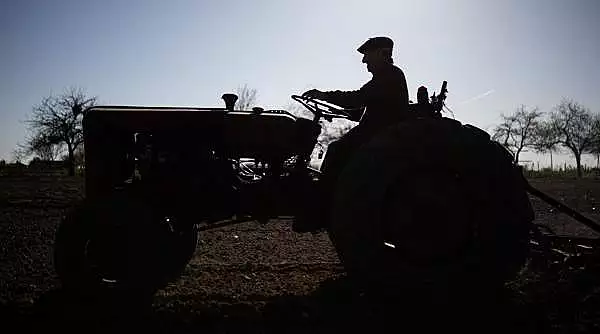 Doi afgani au fost calcati cu tractorul, in Timis. Unul are sanse minime de supravietuire