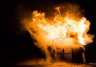 Doi barbati au ars de vii in Bacau. De la ce a pornit incendiul devastator