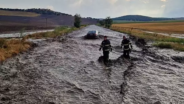 Douasprezece autoturisme si un microbuz, surprinse de viitura pe DN22D, in judetul Tulcea – VIDEO