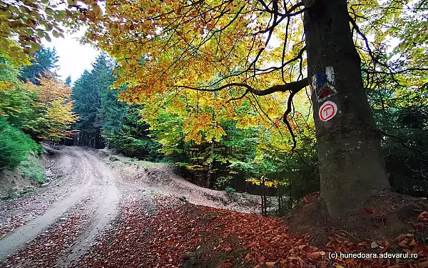 Drumurile care duc in salbaticia Muntilor Sureanu. Cum ajungi in locurile uimitoare din parcul natural