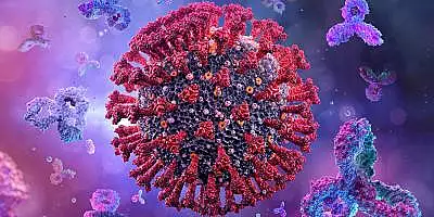 Dupa SARS-CoV-2, coronavirusul MERS ar putea deveni urmatoarea amenintare pandemica
