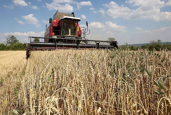 Fermierii din Romania ameninta ca blocheaza vamile si Portul Constanta daca nu se prelungeste interdictia de import pentru cerealele din Ucraina