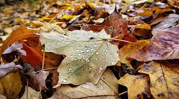 Final de septembrie cu temperaturi ridicate. Unde va ploua mai mult si cand vine frigul? Prognoza meteo pentru urmatoarele 4 saptamani