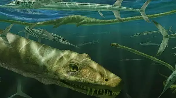 fosila-unui-dragon-care-a-trait-in-urma-cu-240-de-milioane-de-ani-a-fost-dezvaluita-de-oamenii-de-stiinta.webp