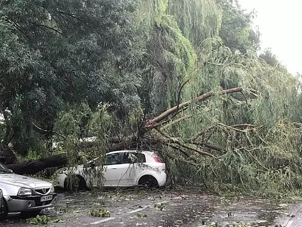 Furtuna la Ploiesti: mai multi copaci doborati de vant au cazut peste masini. Pompierii au intervenit in mai multe zone