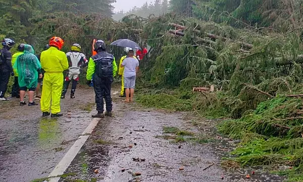 Furtuna si grinda de mari dimensiuni in Alba: 50 de autovehicule au fost blocate intre Cabana Oasa si Obarsia Lotrului