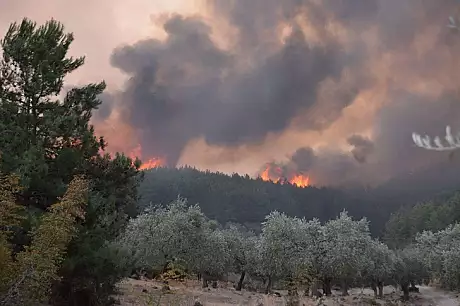 Grecia - Stare de urgenta determinata de incendii pe insula Thasos