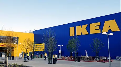 Ikea a mai cumparat 12.800 de hectare de padure in Romania