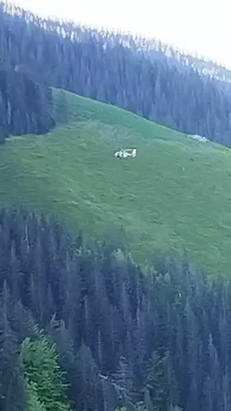 Imagini spectaculoase cu recuperarea unui ucrainean ratacit in munti. Barbatul a fost salvat la limita VIDEO