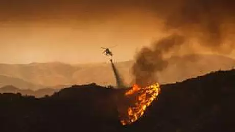 Incendii DEVASTATOARE in SUA! Mii de hectare de padure, mistuite de flacari