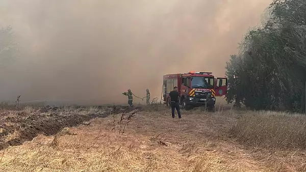 Incendiile de vegetatie dau din nou peste cap mersul trenurilor catre litoral. Ce curse sunt afectate FOTO/VIDEO