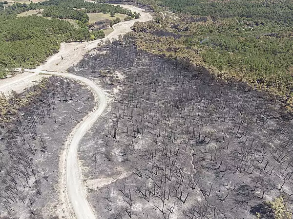 Incendiile forestiere au ars in acest an in UE un numar-record de 700.000 de hectare