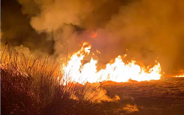 Incendiu de miriste la Barcanesti. Focul, pus intentionat, a parjolit 300 de hectare