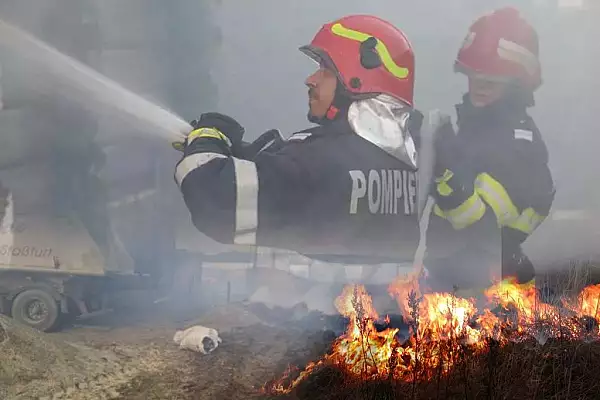 Incendiu de proportii in Botosani. Un adapost de animale si alte cladiri au ars din temelii VIDEO