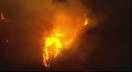 Incendiu de proportii in California. Sute de locuitori au fost evacuati