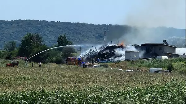 Incendiu de proportii in judetul Bacau. Sute de tone de plante furajere si un adapost de animale, mistuite de flacari