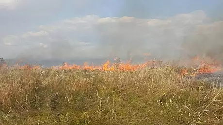 Incendiu de proportii in Rezervatia Delta Dunarii. 70 de hectare de vegetatie, afectate