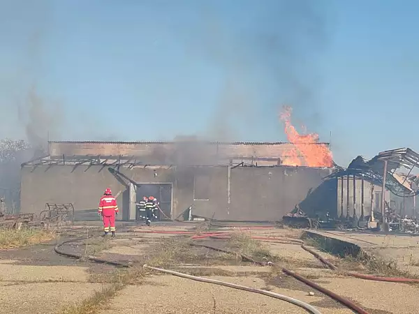 Incendiu de vegetatie in 3 localitati din Maramures. Flacarile s-au extins la locuinte, 90 de oameni au fost evacuati