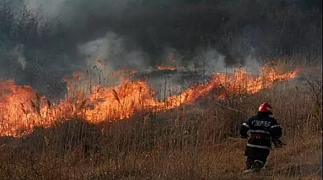 Incendiu de vegetatie in Delta Vacaresti din Capitala! Flacarile se intind pe 2.000 de metri