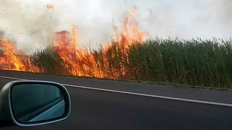Incendiu de vegetatie langa Autostrada Bucuresti-Pitesti. Fumul incurca circulatia