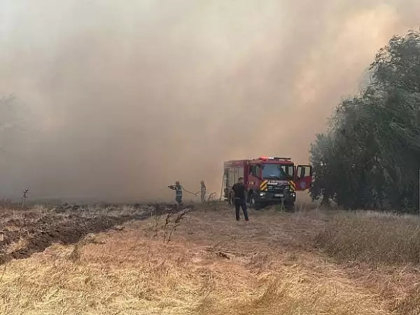 Incendiu de vegetatie uscata langa un camin de batrani din judetul Constanta. Varstnicii, evacuati, traficul feroviar si rutier, oprit in zona