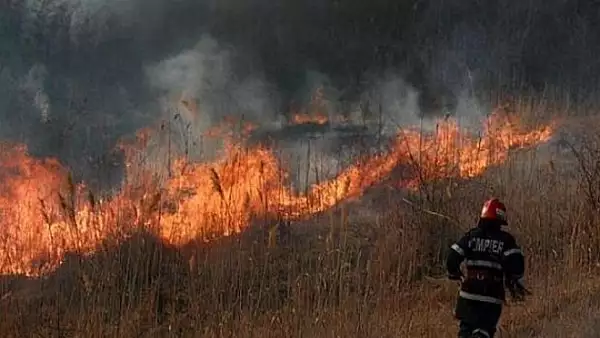 Incendiu DEVASTATOR in judetul Tulcea! 5 hectare de vegetatie uscata si stuf, mistuite de flacari