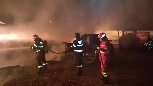 Incendiu devastator la o ferma din Cluj, 600 de porci au ars de vii - GALERIE FOTO