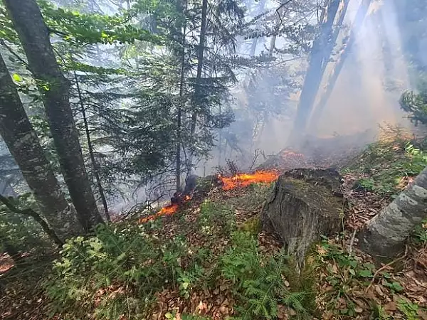 incendiu-in-muntii-rodnei-ard-aproape-sase-hectare-de-padure-si-teren-pompierii-intervin-pentru-lichidarea-flacarilor.webp