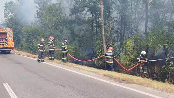 Incendiu in Padurea Stejarul, Braila. Flacarile devoreaza vegetatia de pe aproape 3 hectare