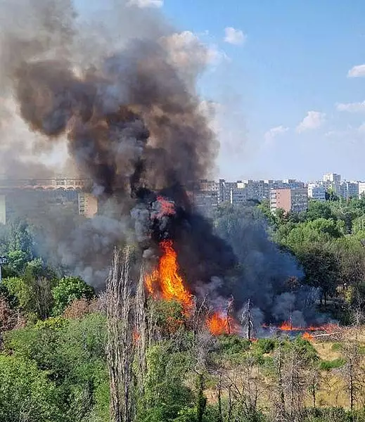 Incendiu intr-un parc din Sectorul 3 al Capitalei. Peste 500 de metri patrati au fost mistuiti de flacari