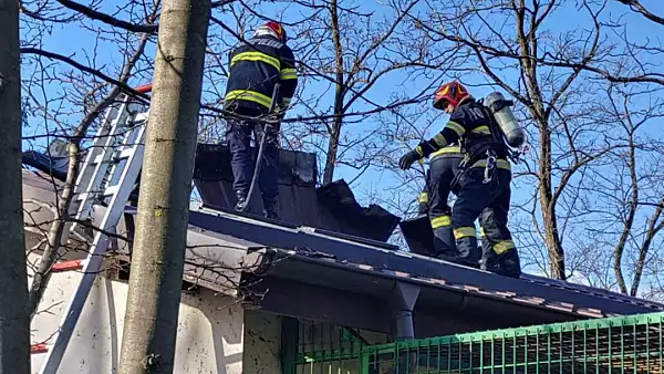 Incendiu la Gradina Zoologica din Ramnicu Valcea: acoperisul pavilionului cu maimute a luat foc