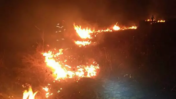 incendiu-masiv-in-delta-neajlovului-peste-50-de-hectare-au-fost-cuprinse-de-flacari-zona-mlastinoasa-risc-urias-pentru-pompieri.webp