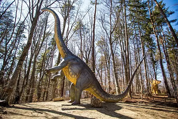 Incendiu puternic la Dino Park din Rasnov. Un dinozaur a luat foc