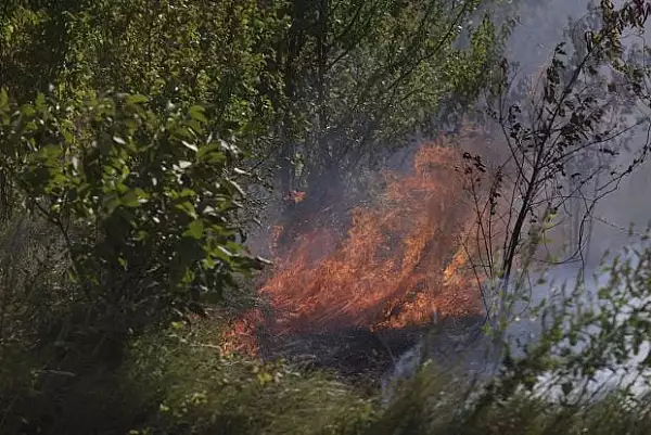 Incendiu urias de vegetatie in Maramures. Flacarile au ajuns in zona locuintelor. Circa 90 de oameni, evacuati. Un avion al MApN a plecat in zona