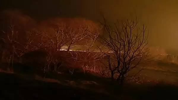 Incendiu urias in Delta Dunarii! Focul s-a extins pe 150 de hectare VIDEO