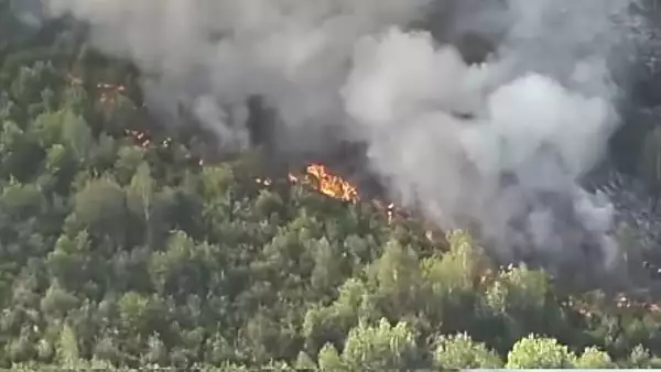 Incendiul din Maramures, stins dupa 20 de ore: 4 pompieri au fost raniti. Anuntul facut de presedintele Consiliului Judetean