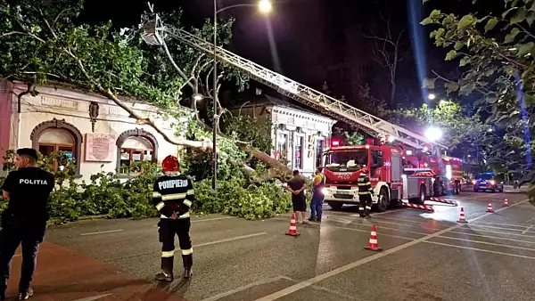 Incident grav, in Dorobanti: un copac s-a prabusit peste o cofetarie