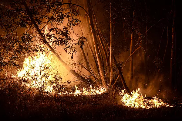 MAE, avertizare de calatorie pentru Portugalia. Starea de alerta a fost prelungita