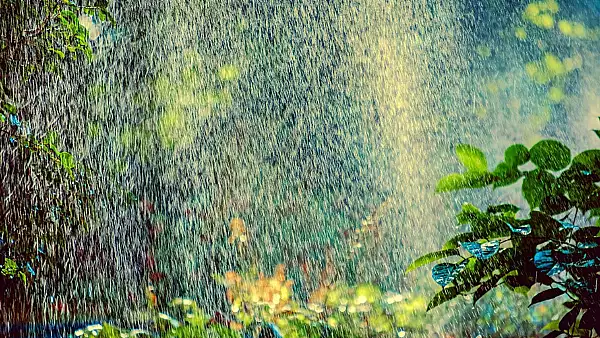 Meteo 14 iulie 2024: Cod rosu de canicula in aproape toata tara. Temperaturi extreme: se resimt pana la 45 de grade Celsius