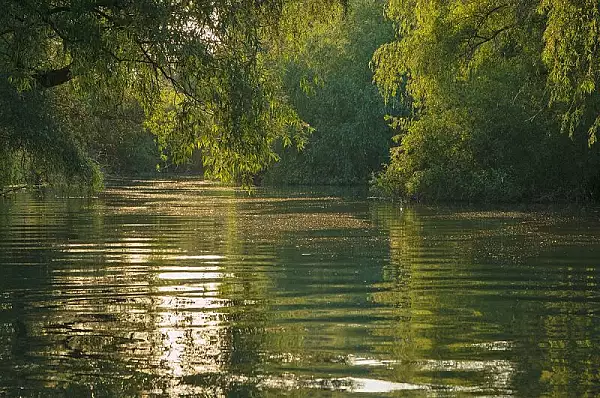 Minunea naturala a Deltei Dunarii: Cea mai compacta suprafata de stufaris de pe glob