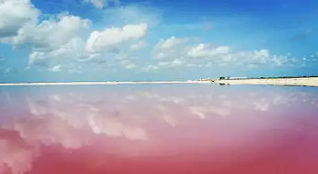 Misterul lagunei roz. Locul de pe pamant care pare ireal 