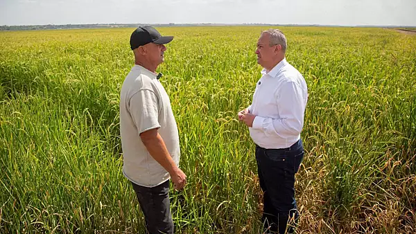  Nicolae Ciuca sustine dezvoltarea mediului rural prin atragerea de investitii