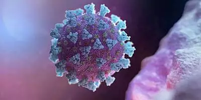 Noi tulpini ale coronavirusului - Centrul European pentru Controlul Bolilor solicita membrilor sa pregateasca masuri mai stricte