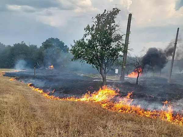 Numar record de incendii pe canicula si niciun vinovat. ,,Foc deschis in spatii deschise", cauza care scapa pe toata lumea