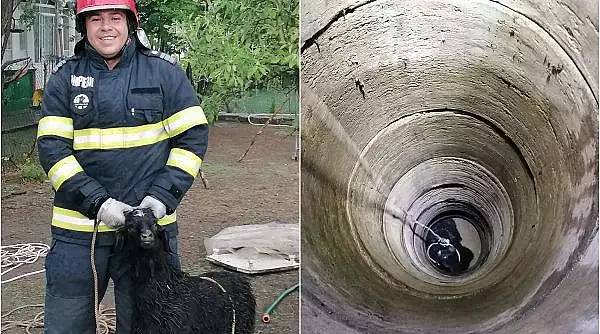 O caprita cazuta intr-o fantana adanca a fost salvata de pompierii din Giurgiu 
