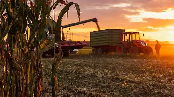 O femeie a murit calcata de tractor pe un camp. Soferul si-a dat seama ca ceva e in neregula cand utilajul a inceput sa mearga greu