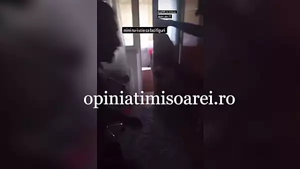 O pisica maidaneza, batuta cu salbaticie de trei tineri la Resita. Politia animalelor s-a autosesizat VIDEO